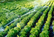 EAFF push for financing in agriculture EAFF push for financing in agriculture