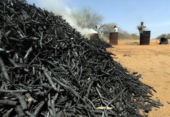FAO and partners convene major stakeholders on complex issue of Africa’s woodfuel use