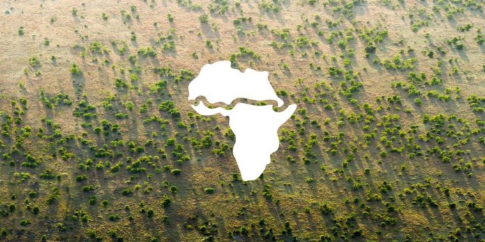 Africa’s Great Green Wall gives viable return on investments