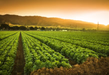 Tanzania steps up climate change in the agriculture sector Tanzania steps up climate change in the agriculture sector