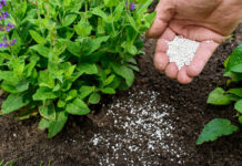 New fertiliser firm enters Zambian market New fertiliser firm enters Zambian market