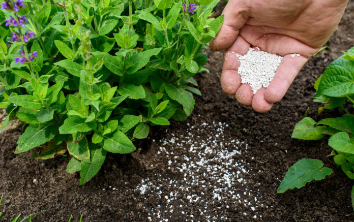 New fertiliser firm enters Zambian market