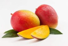 Export of mango from Kenya to EU to resume Export of mango from Kenya to EU to resume