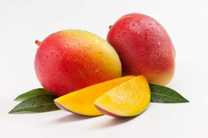 Export of mango from Kenya to EU to resume
