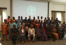 Liberia, Sierra Leone kick-off Responsible Agriculture Investment Training Liberia, Sierra Leone kick-off Responsible Agriculture Investment Training