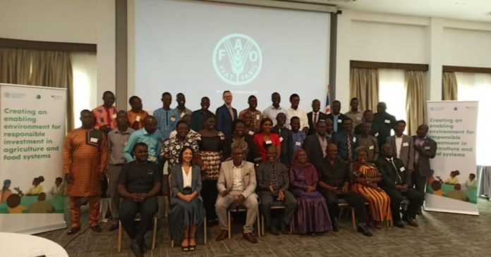 Liberia, Sierra Leone kick-off Responsible Agriculture Investment Training
