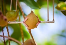 AgTech Company SupPlant Is Selected To The Best Inventions List By TIME, Based On Work With South African Farmers