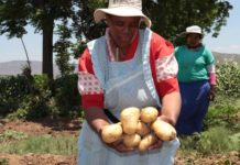 OneFarm Share: Making An Impact From Farm to Fork