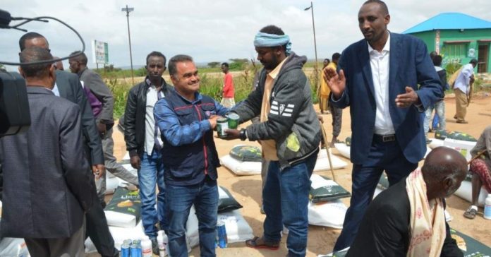 TİKA supports agricultural production in Somaliland