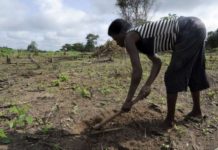 Denmark commits to vulnerable farmers Denmark commits to vulnerable farmers