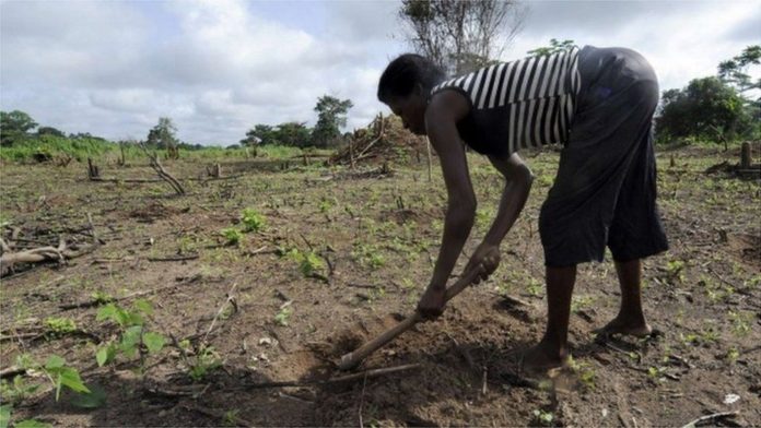 Denmark commits to vulnerable farmers