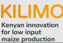 Kenya to roll out Sh 9.6bn Livestock Commercialization Project Kenya to roll out Sh 9.6bn Livestock Commercialization Project