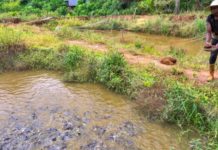 Norway commits funds to IFAD to lift aquaculture communities out of poverty and lower malnutrition in Kenya, Mozambique and Tanzania Norway commits funds to IFAD to lift aquaculture communities out of poverty and lower malnutrition in Kenya, Mozambique and Tanzania