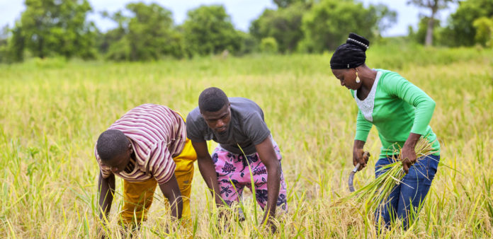 200 Youths, women in Guinea with agricultural implements empowered