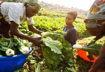 France invests €200,000 to enhance women agricultural skills in Nigeria France invests €200,000 to enhance women agricultural skills in Nigeria