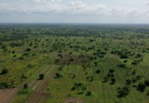 Innovative Agricultural Development Company Launches In Ghana To Offset $35 Billion Annual Cost Of Food Imports To Africa