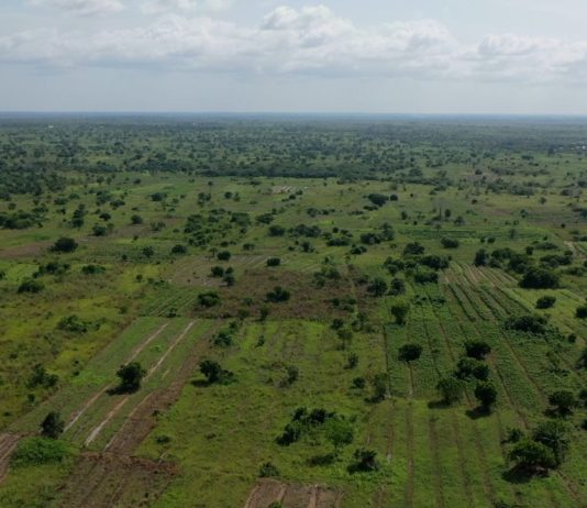 Innovative Agricultural Development Company Launches In Ghana To Offset $35 Billion Annual Cost Of Food Imports To Africa