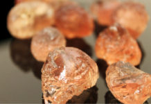 Borno State, Sudan partner on wheat, gum Arabic production Borno State, Sudan partner on wheat, gum Arabic production