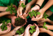 High Atlas Foundation Celebrates Tree Planting Day in Morocco on 20 January 2025 Faba, Tunisia govt launch tree planting campaign