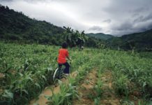 Mali to cooperate with Iran in extraterritorial cultivation Mali to cooperate with Iran in extraterritorial cultivation