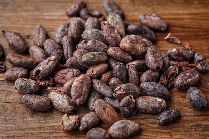 Nigeria to increase cocoa output