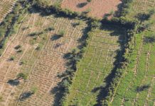 Rwanda to receive $8.5M for biodiversity and climate change project Rwanda to receive $8.5M for biodiversity and climate change project