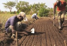 Tips for Planning Your Crop Farm in 2022