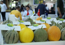 Growtech Has Left Its Mark on the Global Agricultural Sector