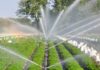 Smarter water starts here: Irrigation Association rolls out tools + expert advice for 2026 Tunisia to receive €49M to modernize irrigation systems