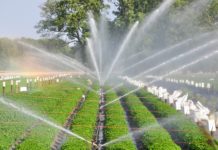 Tunisia to receive €49M to modernize irrigation systems Tunisia to receive €49M to modernize irrigation systems
