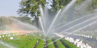 Smarter water starts here: Irrigation Association rolls out tools + expert advice for 2026 Tunisia to receive €49M to modernize irrigation systems