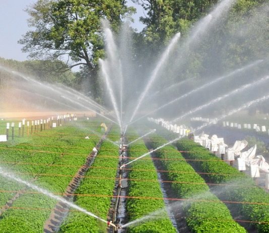 Smarter water starts here: Irrigation Association rolls out tools + expert advice for 2026 Tunisia to receive €49M to modernize irrigation systems