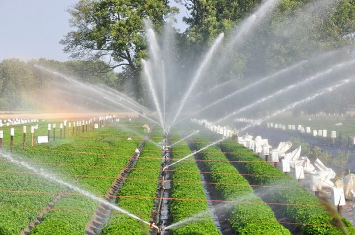 Tunisia to receive €49M to modernize irrigation systems