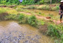 Norway commits funds to IFAD to lift aquaculture communities out of poverty and lower malnutrition in Kenya, Mozambique and Tanzania