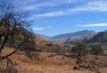 Nigeria set for a project to build a climate resistance landscape Nigeria set for a project to build a climate resistance landscape