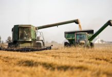 Nigeria targets US $200M yearly from Agricultural value-chain devt Nigeria targets US $200M yearly from Agricultural value-chain devt