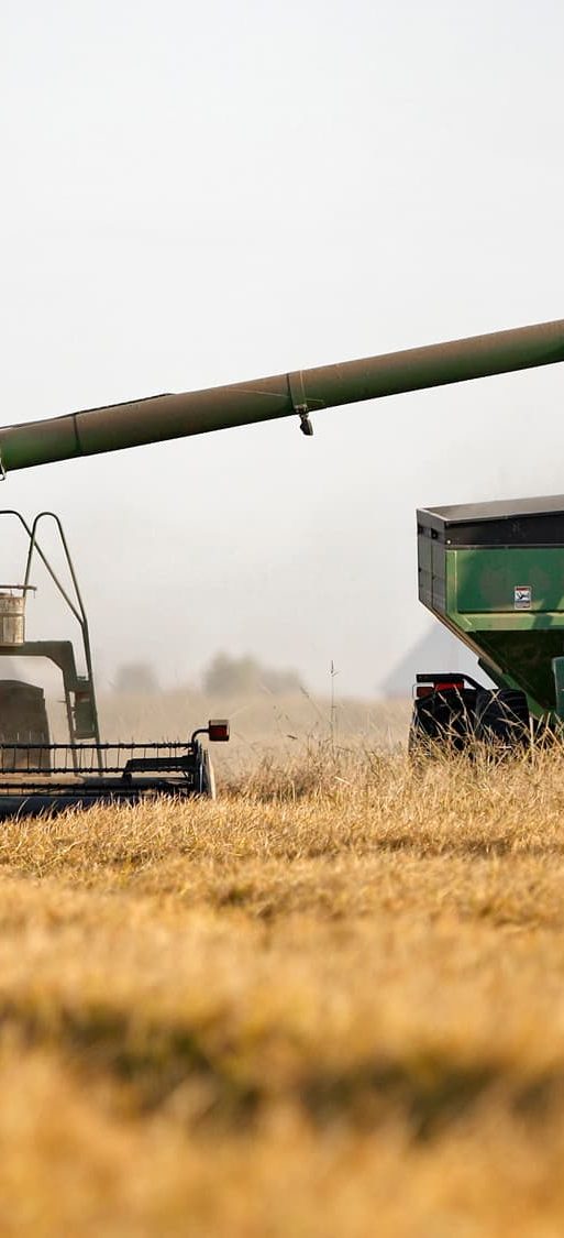 Nigeria targets US $200M yearly from Agricultural value-chain devt