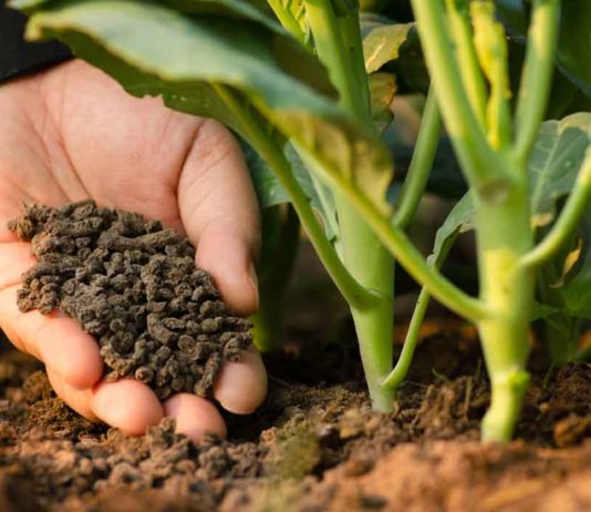Tanzania seeks demand for fertilizer met Tanzania seeks demand for fertilizer met