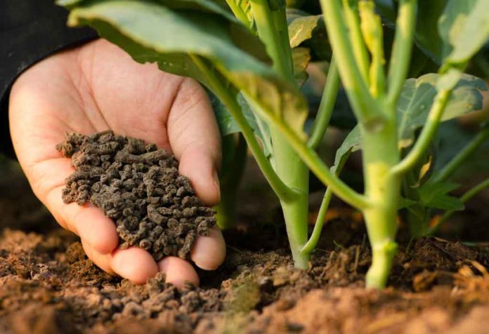 Tanzania seeks demand for fertilizer met
