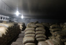 Kenya miss December target to complete construction of cold storage facilities Kenya miss December target to complete construction of cold storage facilities