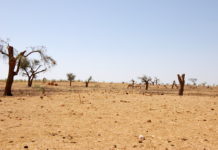 Ivory Coast to host COP15 from 9 to 20 May 2022 Ivory Coast to host COP15 from 9 to 20 May 2022