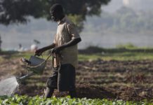 Kenya launches sustainable agriculture, water access project in Nyandarua Kenya launches sustainable agriculture, water access project in Nyandarua
