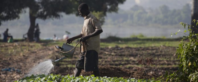 Kenya launches sustainable agriculture, water access project in Nyandarua