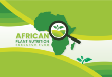 African Plant Nutrition Research Fund (APNRF) Opens Call for 2022 Round of Preliminary Concept Proposals