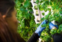 Vertiv Joins the RISE Partnership Program to Develop Sustainable Data Centre Technologies