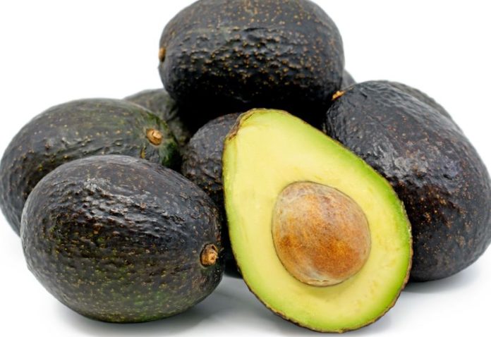Hass avocado to complement sugarcane in Busoga, Uganda
