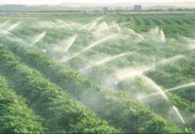 Morocco’s Green Plan on track to reach its strategic goals Morocco’s Green Plan on track to reach its strategic goals