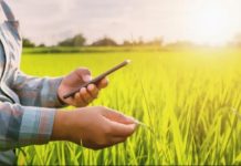 NITDA partners three varsities on digital farming NITDA partners three varsities on digital farming