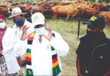 Zimbabwe launches Youth Agric Empowerment Scheme Zimbabwe launches Youth Agric Empowerment Scheme