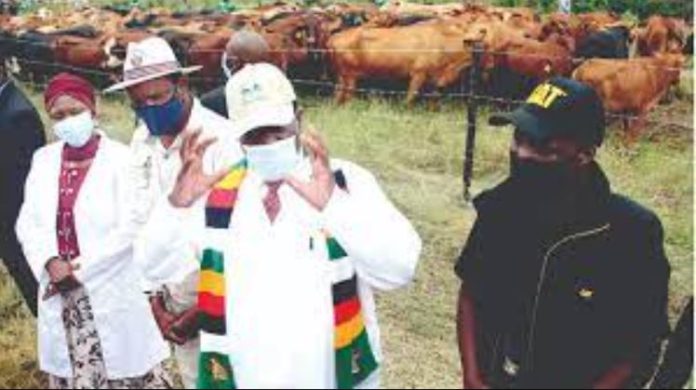 Zimbabwe launches Youth Agric Empowerment Scheme